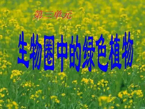 苔藓植物和蕨类植物