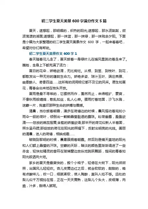 初二学生夏天美景600字满分作文5篇