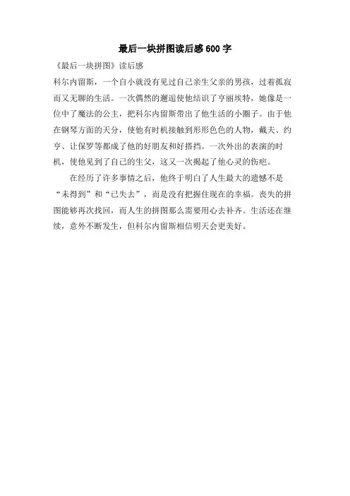 最后一块拼图读后感600字