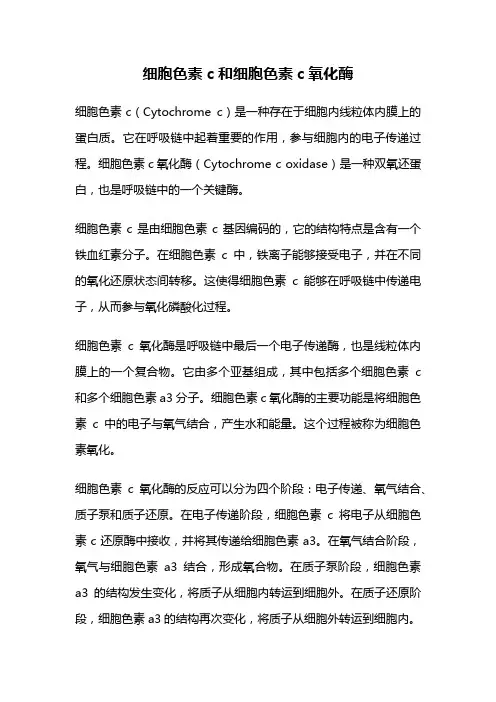 细胞色素c和细胞色素c氧化酶