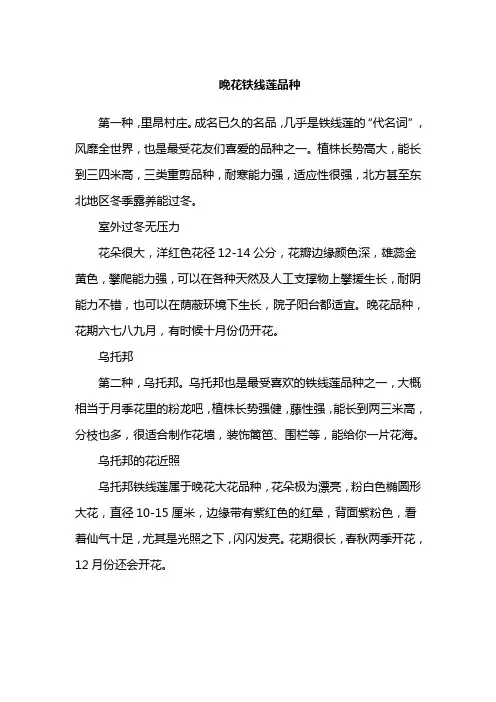 晚花铁线莲品种