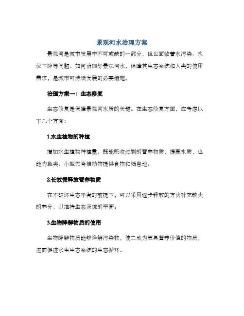 景观河水治理方案