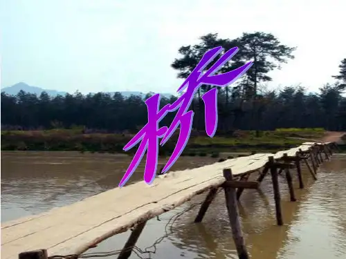 人教版小学语文五年级下册《桥》PPT
