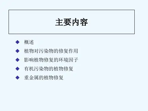 污染环境的植物修复原理 PPT