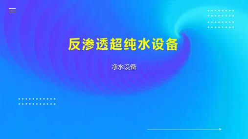 反渗透超纯水设备