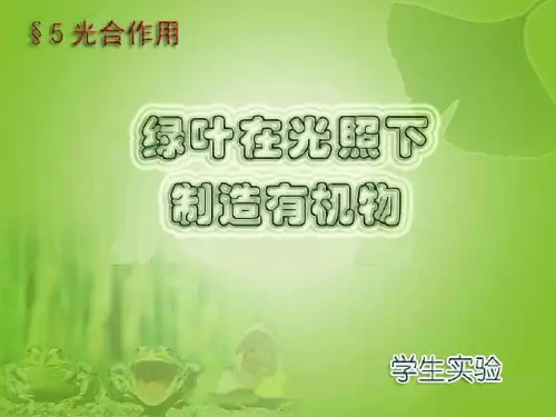 绿叶在光下制造有机物[下学期]PPT课件(初中科学)