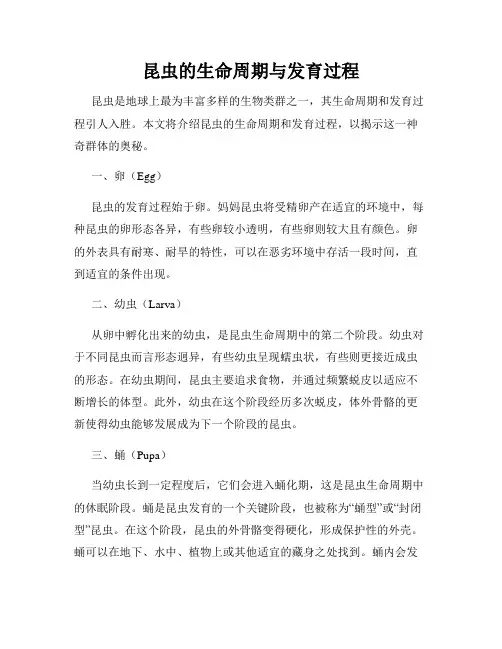 昆虫的生命周期与发育过程