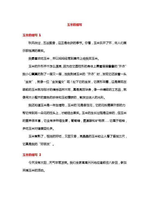 玉米的描写