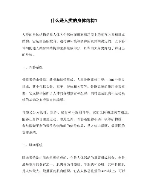 什么是人类的身体结构？