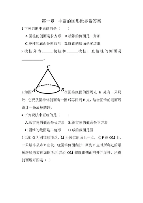 第一章丰富的图形世界带答案