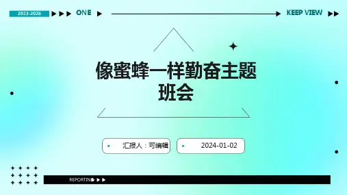 像蜜蜂一样勤奋主题班会