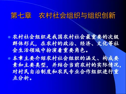 第七章 农村社会组织与组织创新.