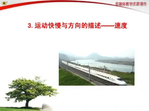 3.运动快慢与方向的描述——速度