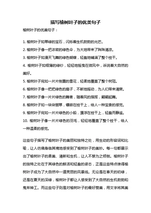 描写榆树叶子的优美句子