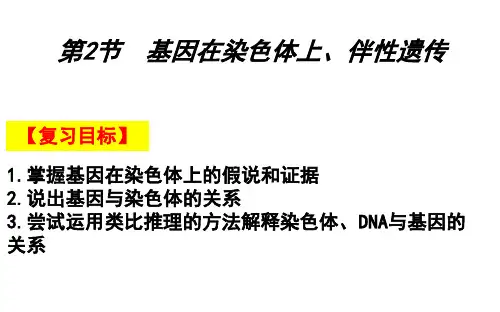 高三生物一轮复习课件基因在染色体上和伴性遗传