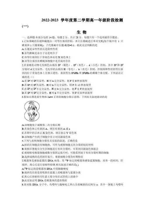 江苏省南通市海安高级中学2022-2023学年高一下学期第一次月考试题 生物 Word版含答案
