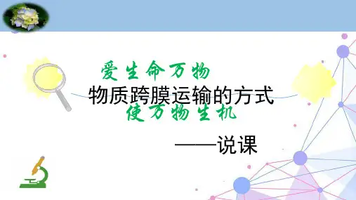 高中生物课件-物质跨膜运输的方式