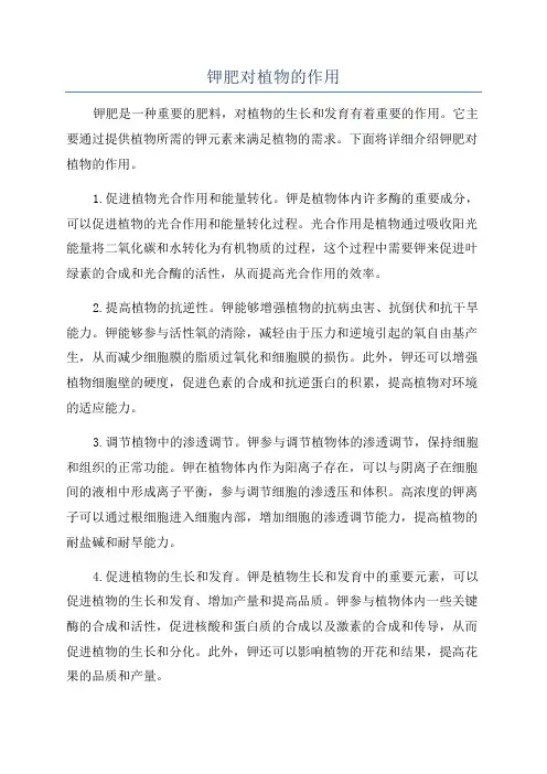钾肥对植物的作用