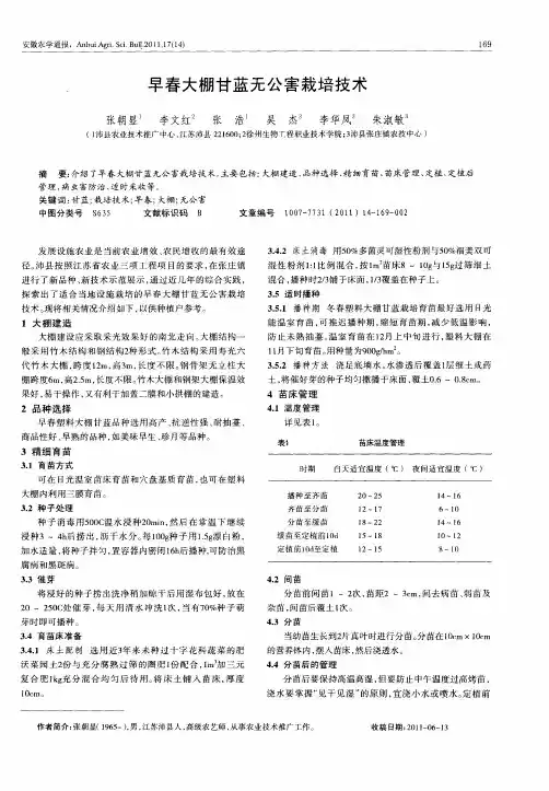 早春大棚甘蓝无公害栽培技术