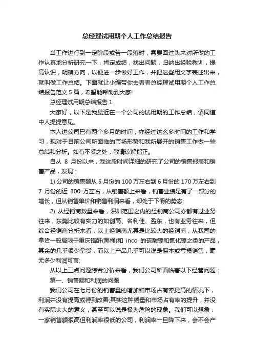 总经理试用期个人工作总结报告