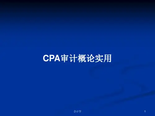 CPA审计概论实用PPT学习教案