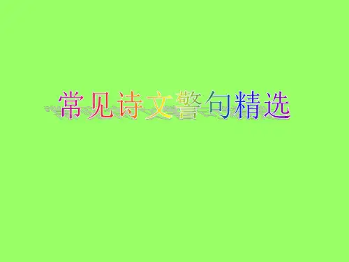 知识大集结