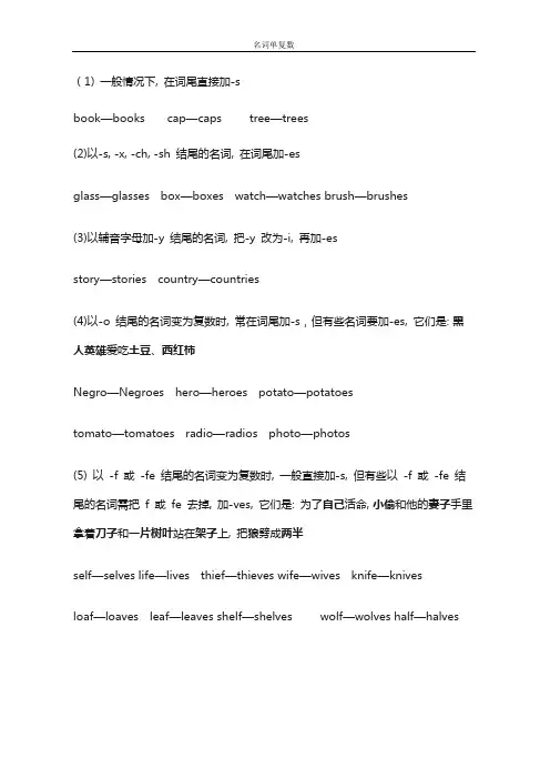 名词单复数 英语单词加s或es