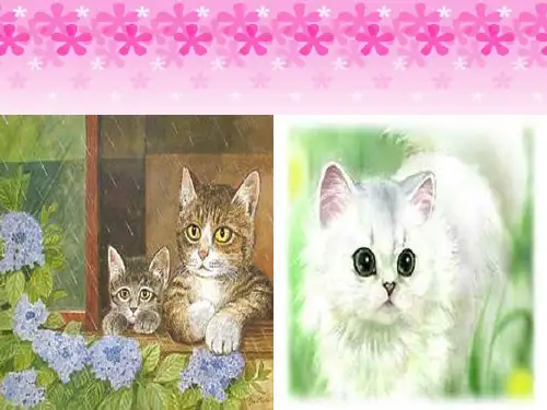 8卡罗尔和她的小猫
