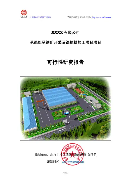铁矿开采及铁精粉生产项目可行性研究报告