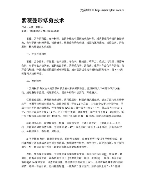 紫薇整形修剪技术