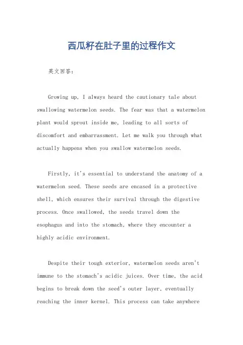 西瓜籽在肚子里的过程作文