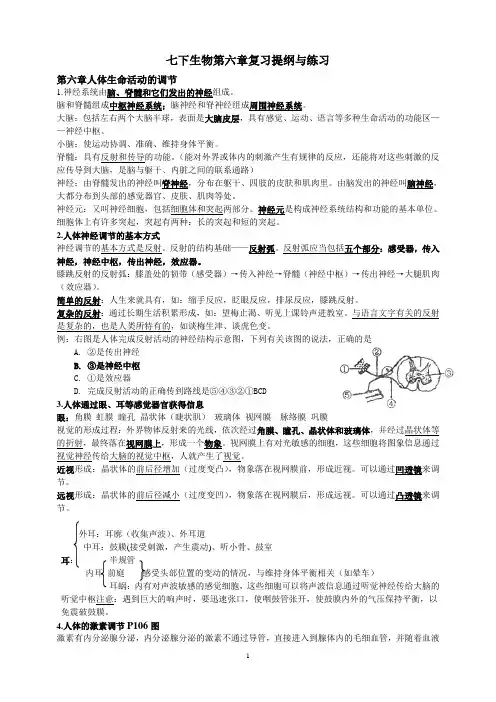 新人教版 七下生物第六章复习提纲与练习