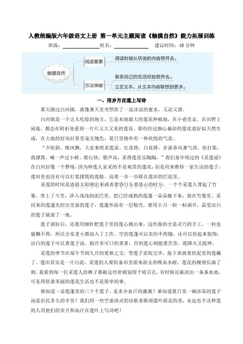 人教统编版六年级语文上册 第一单元主题阅读《触摸自然》能力拓展训练(含答案及解析)