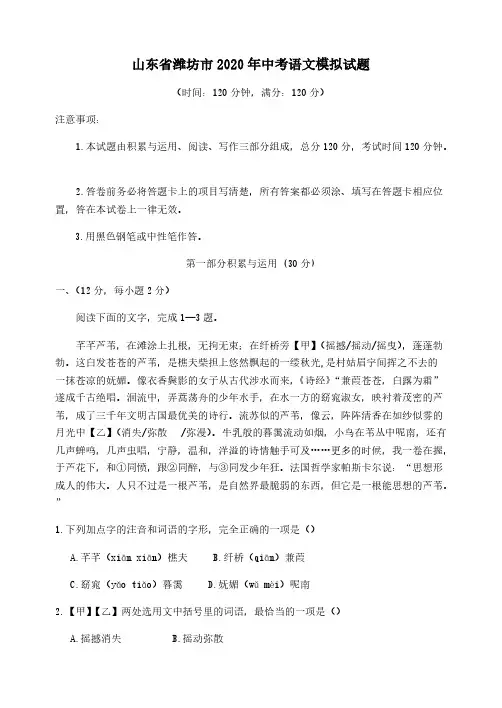 山东省潍坊市2020年中考语文模拟试题