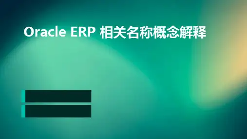 oracleerp相关名称概念解释