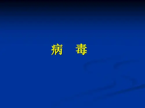 六年级上册科学课件1.1病毒_青岛版(六年制,三起) (共16张PPT)
