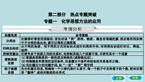 中考化学鲁教版(五四学制)一轮热点突破专题一 化学思想方法的应用课件