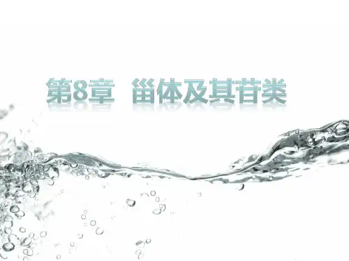 天然药物化学 第8章 甾体及其苷类