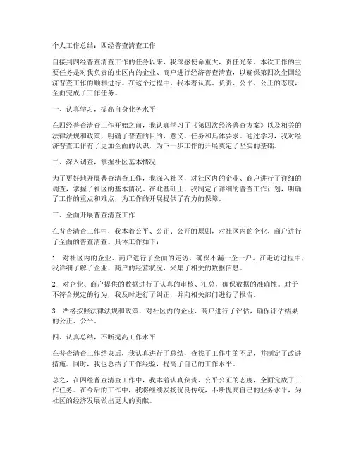 四经普查清查个人工作总结