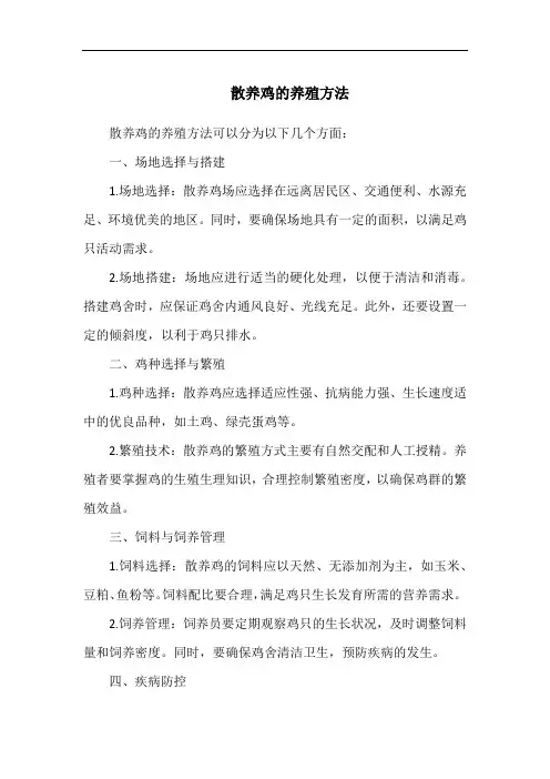 散养鸡的养殖方法