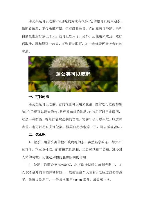 蒲公英可以吃吗,蒲公英怎么吃