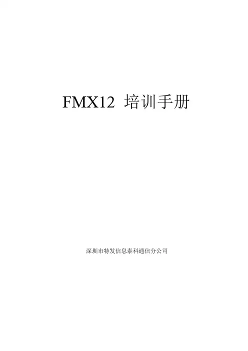 FMX12培训手册