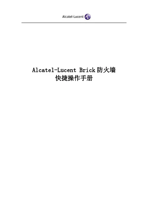 ALU Brick 中文操作手册