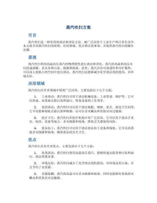 蒸汽吹扫方案