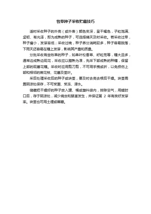 牧草种子采收贮藏技巧