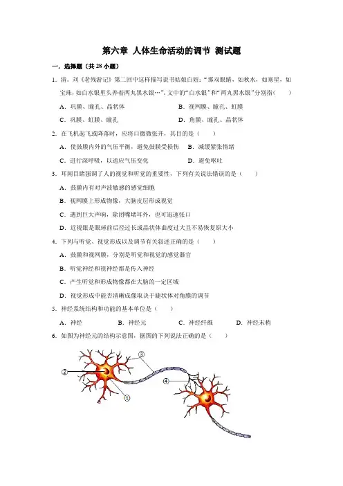 2020-2021学年人教版生物七年级下册  第四单元第六章 人体生命活动的调节 测试题(含答案)