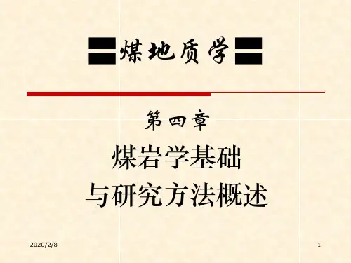 04 第四章 煤岩学基础