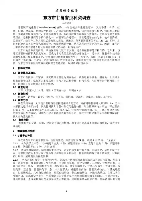 虫害调查报告