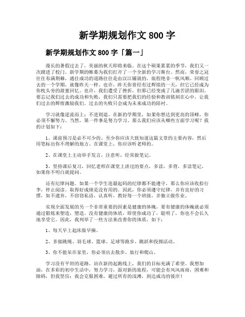 新学期规划作文800字