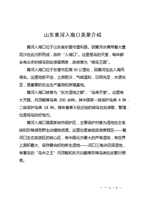 山东黄河入海口美景介绍